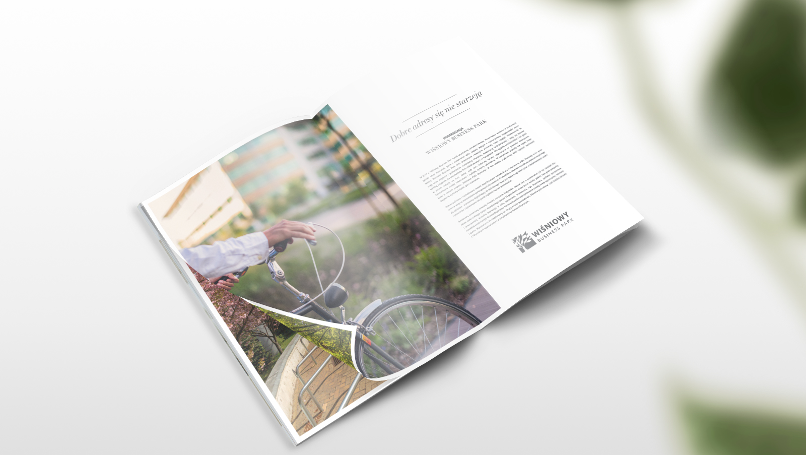 projekty broszur i katalogów rynku nieruchomości broszura, ulotka, katalog Wiśniowy Business Park